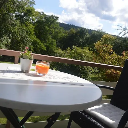 Hotel Waldesruh 3*